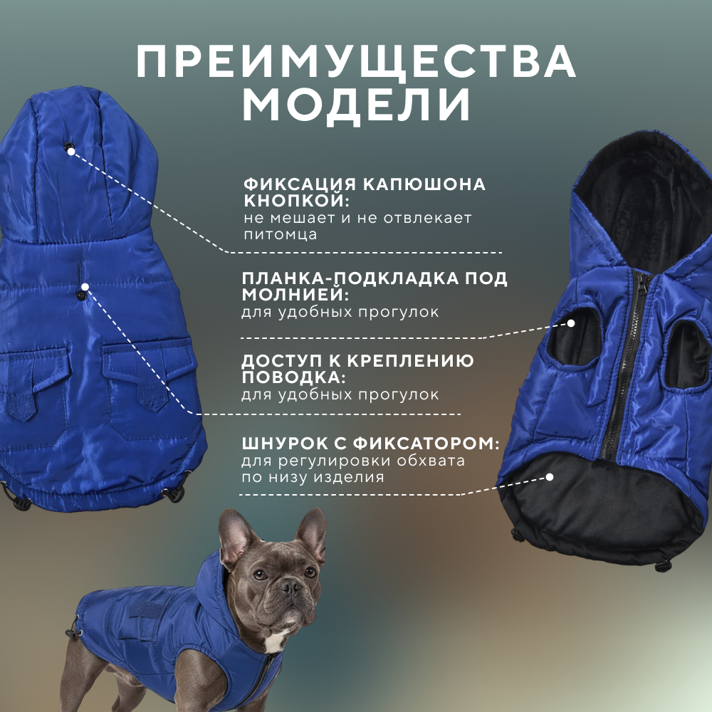 Куртка для собак FOXIE Merro синяя с капюшоном