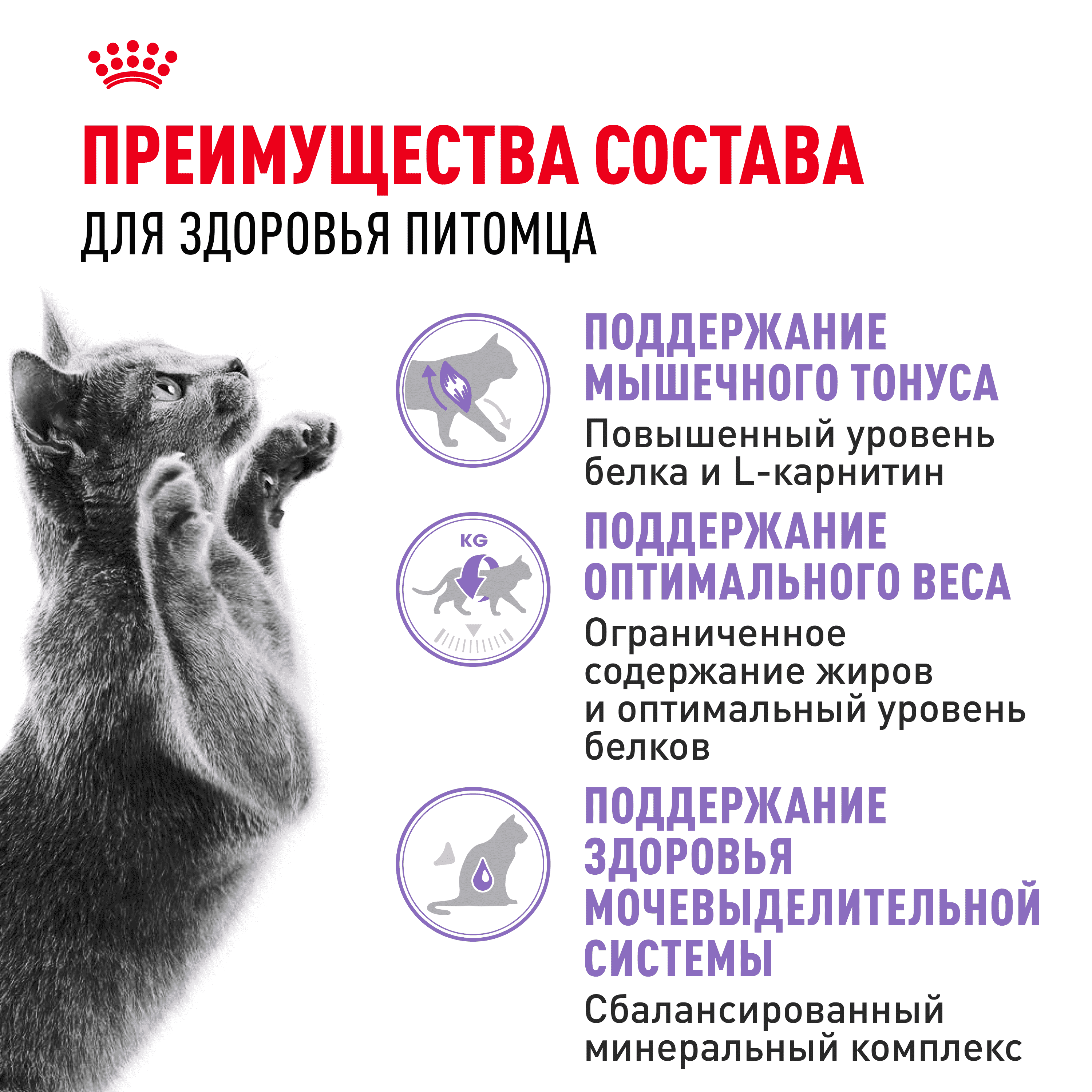 Корм для кошек ROYAL CANIN Sterilised 37 сбалансированный для стерилизованных сух.