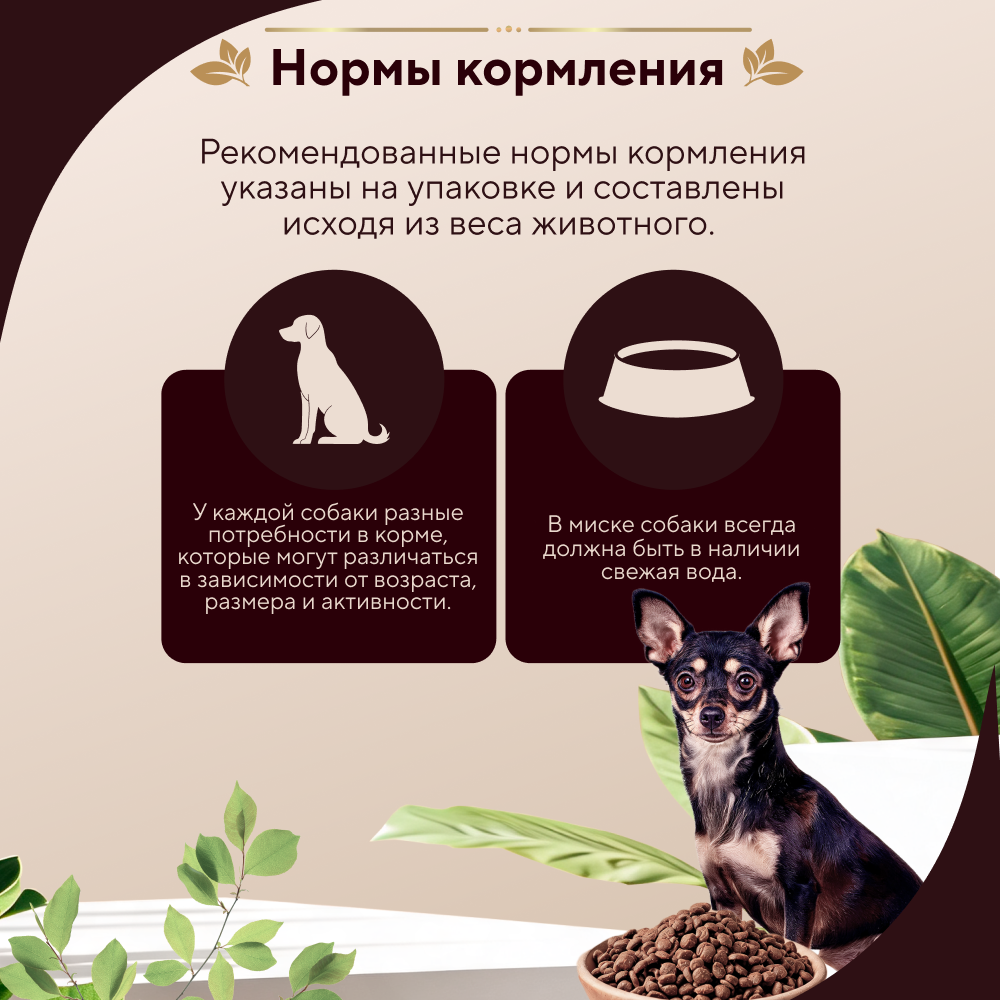 Корм для собак PRO DOG для мелких пород с чувствительным пищеварением, ягненок сух.