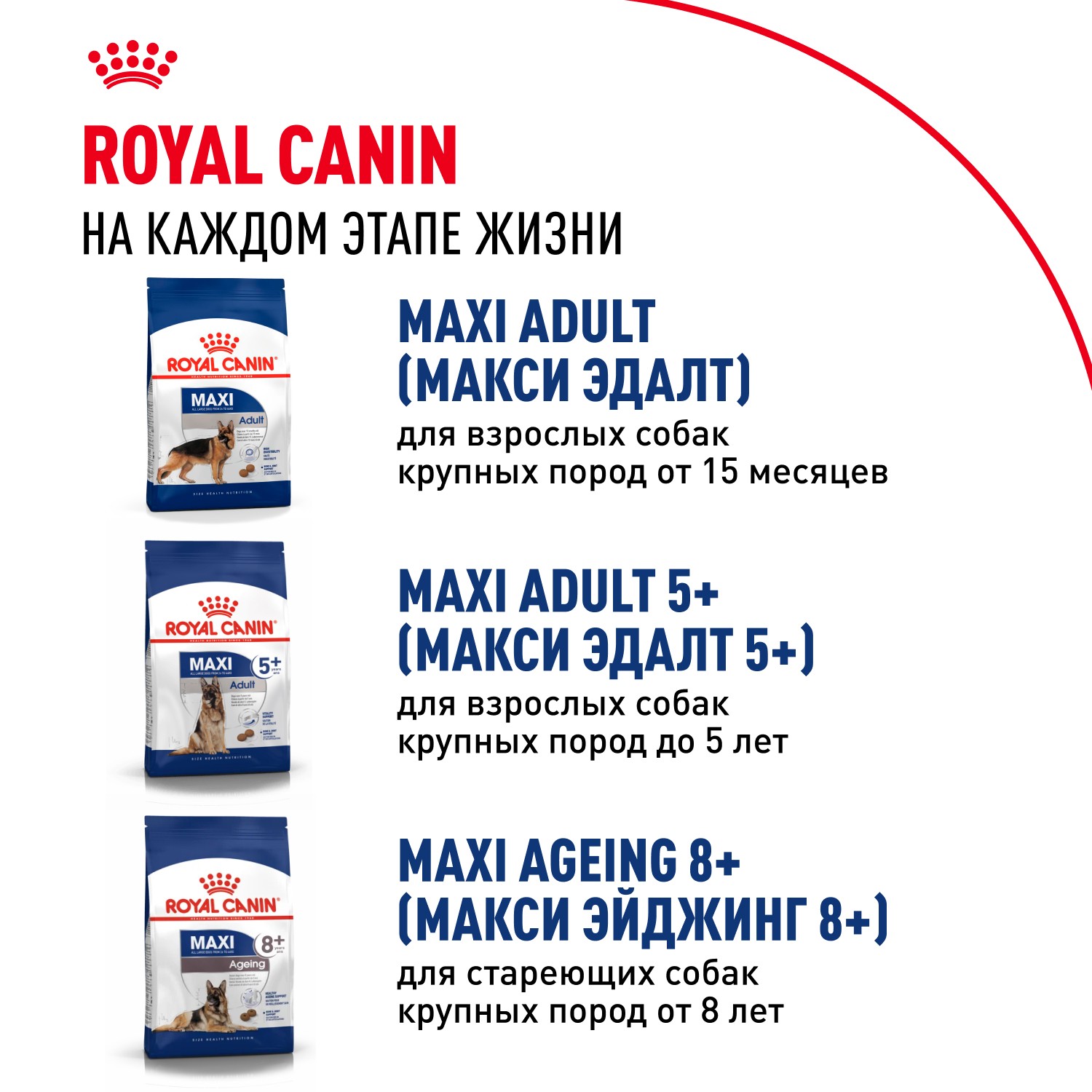 Корм для щенков ROYAL CANIN Maxi Puppy для крупных пород до 15 месяцев, сух.