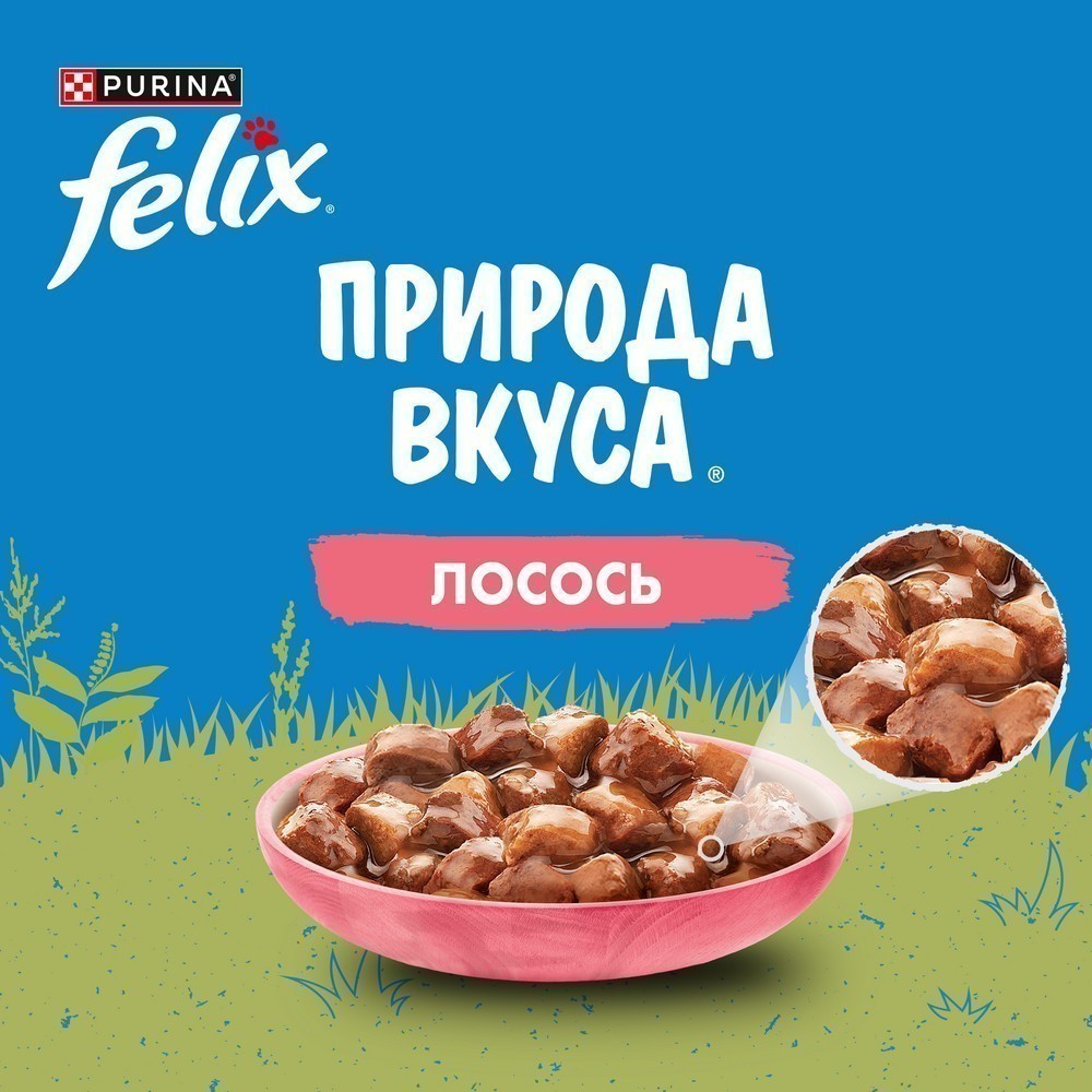 Корм для кошек FELIX Природа вкуса с лососем в соусе пауч