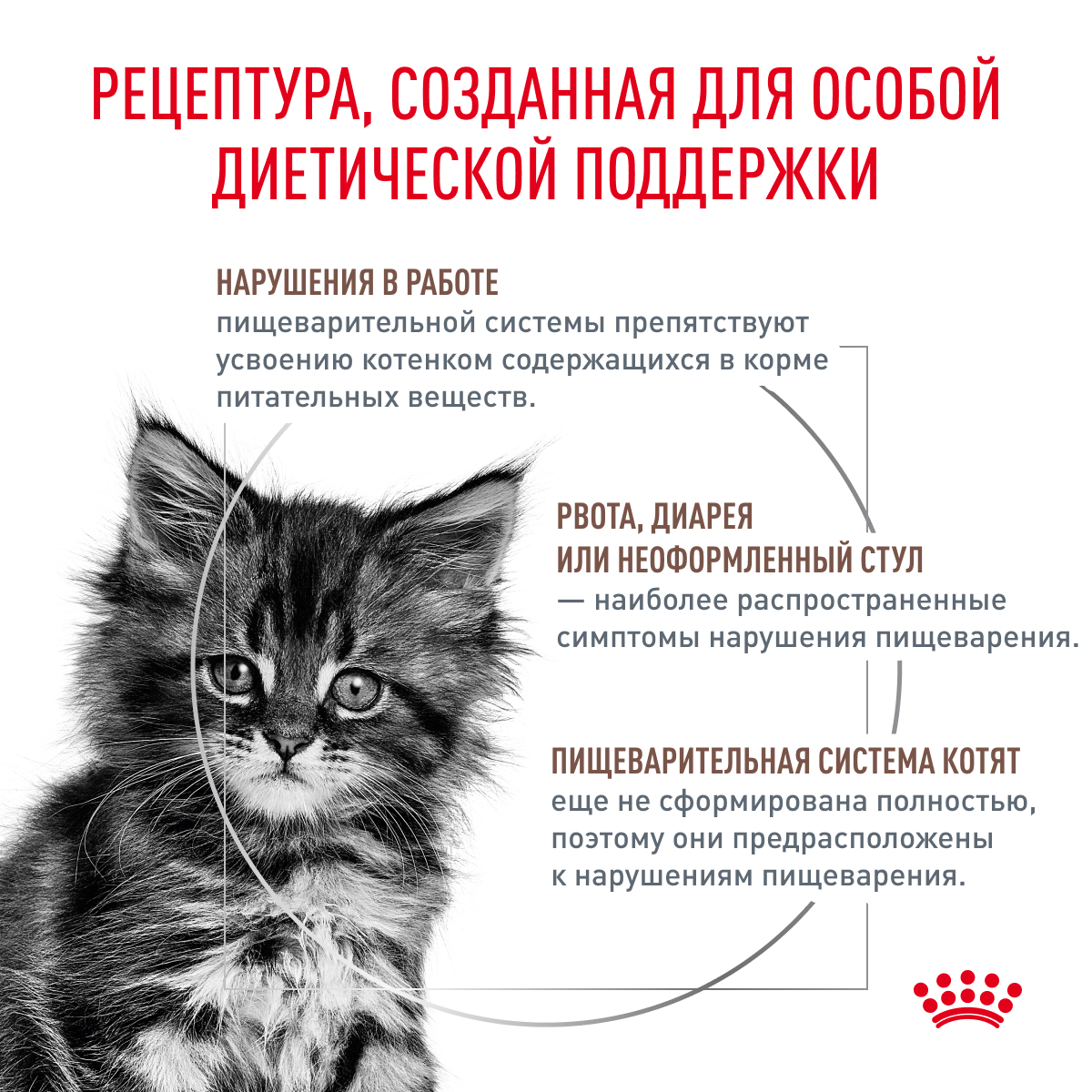 Корм для котят ROYAL CANIN Gastrointestinal Kitten от 2 до 10 мес., при наруш.пищеварения сух.