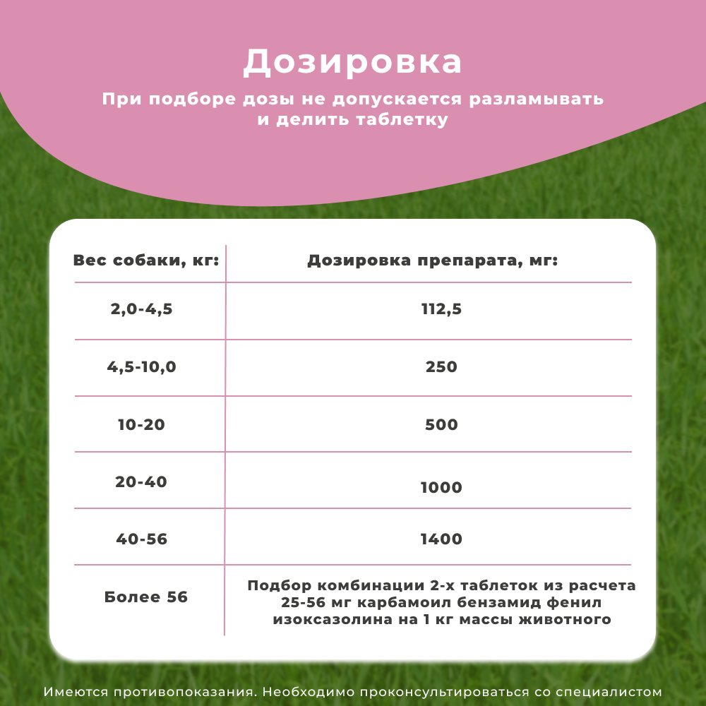 Таблетки для собак ТИКСФЛИ от блох и клещей (4,5-10кг) 250мг, 1таб на 90дн.