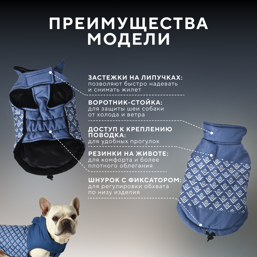 Жилет для собак FOXIE Bohemia синий