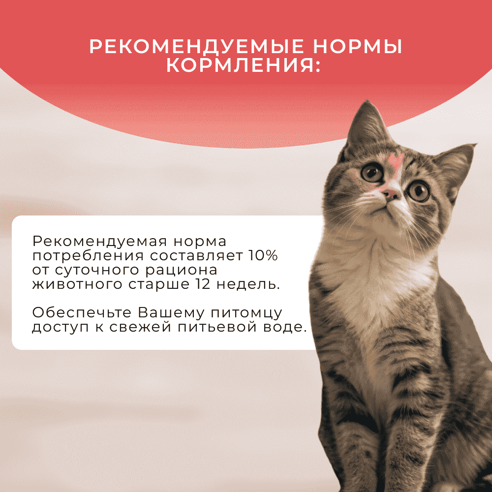 Лакомство для кошек ОБЖОРКА Хрустящие подушечки с лососем для здоровья шерсти