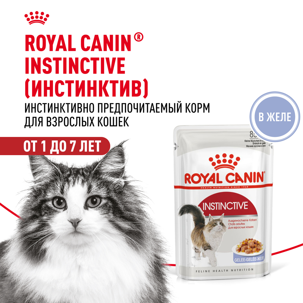 Корм для кошек ROYAL CANIN Instinctive желе пауч