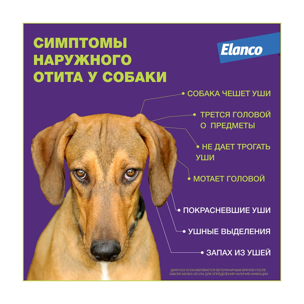 Раствор для собак ELANCO Нептра для лечения отита 2 пипетки 1мл (рецепт)