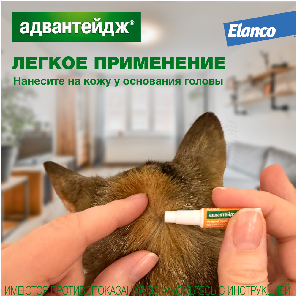 Капли для котят и кошек ELANCO Адвантейдж от блох  (до 4кг), 1 пипетка в упаковке 0,4мл
