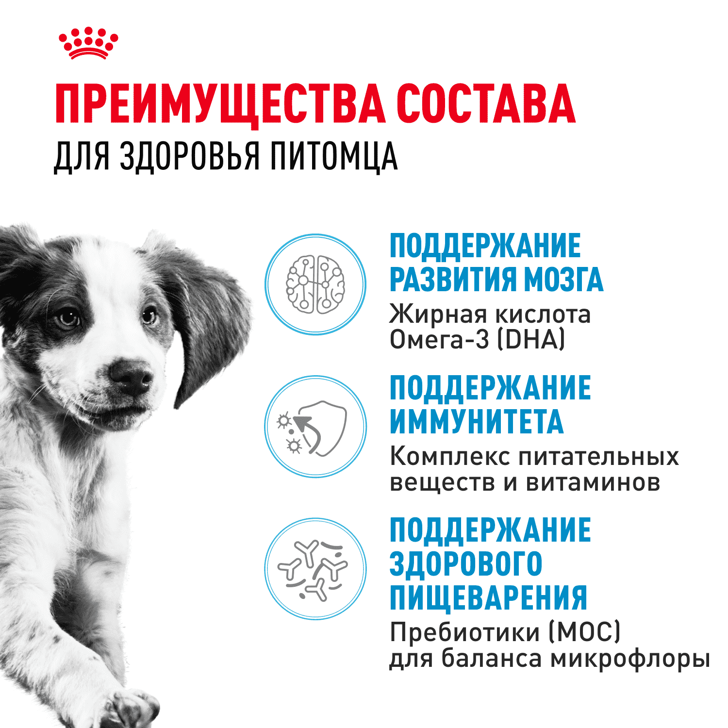 Корм для щенков ROYAL CANIN Medium Puppy для средних пород от 2 до 12 месяцев сух.