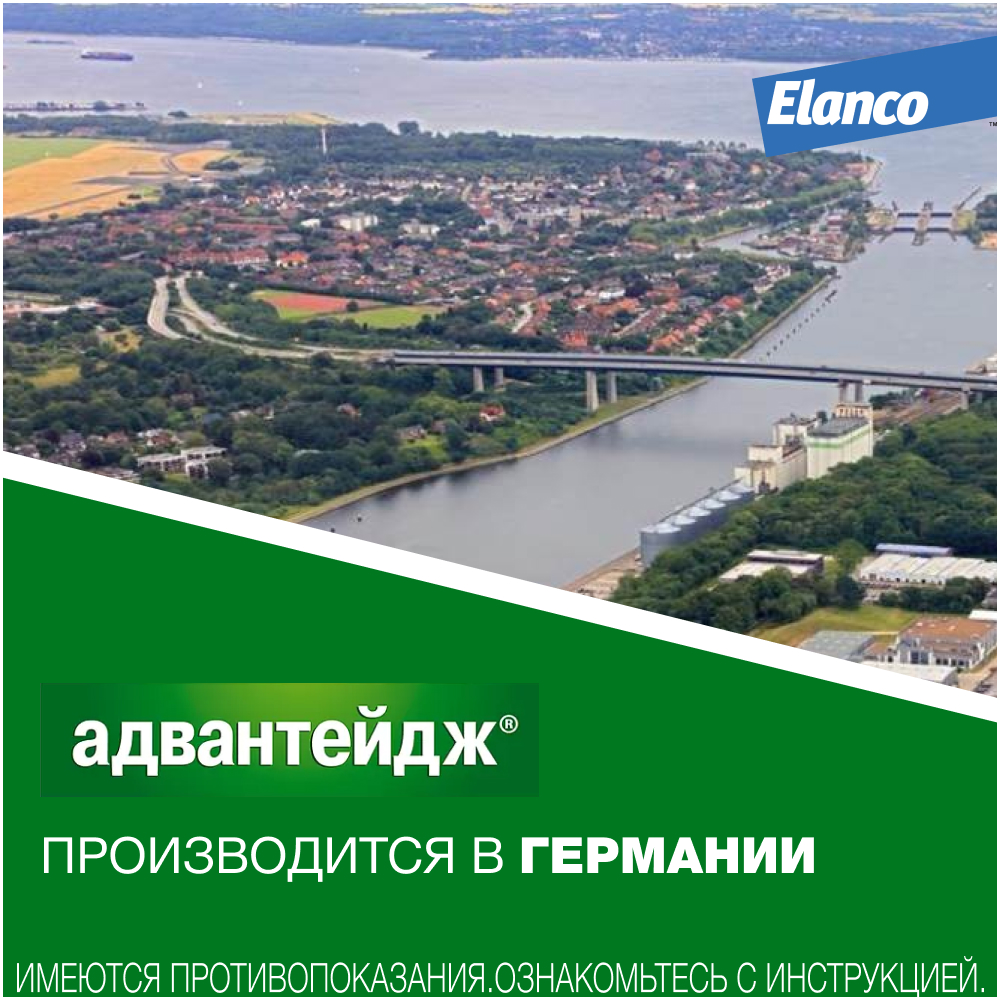 Капли для котят и кошек ELANCO Адвантейдж от блох  (до 4кг), 1 пипетка в упаковке 0,4мл