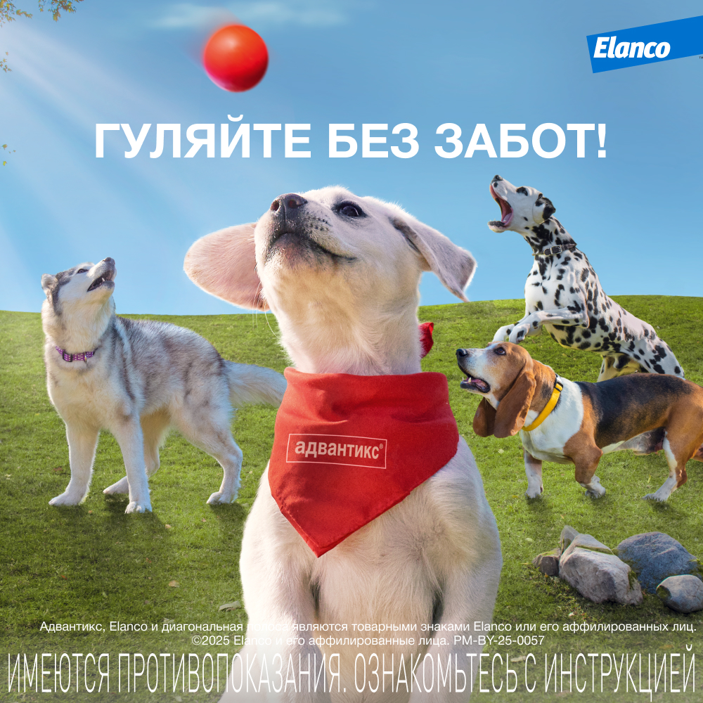 Капли для собак ELANCO Адвантикс от блох, клещей и комаров 40 (до 4кг веса) 1 пипетка в упак.