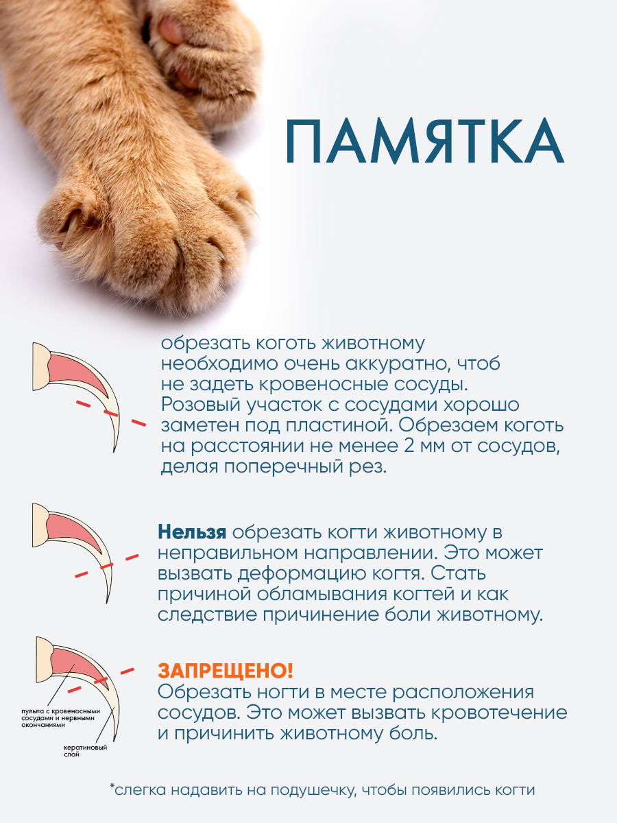 Когтерез-ножницы DeLIGHT малый с упором 3904