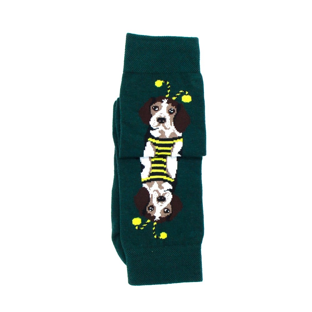 Носки MASTER SOCKS Бигль зелёный женские р.25