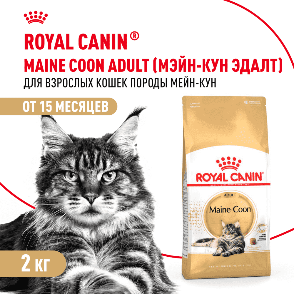 Корм для кошек ROYAL CANIN Maine Coon сбалансированный для породы мэйн кун сух.