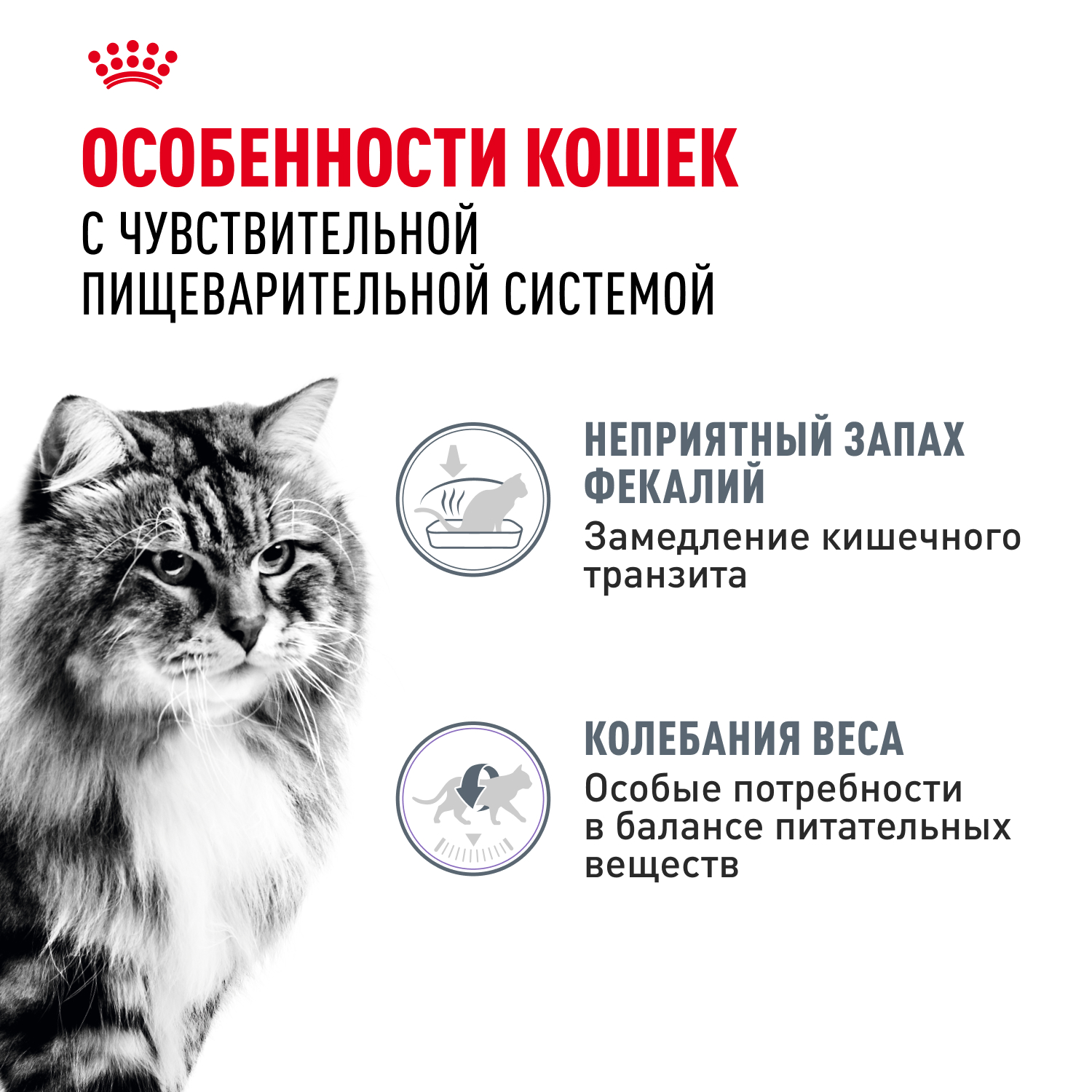 Корм для кошек ROYAL CANIN Digestive Care для здоровья пищеварительной системы (соус) пауч