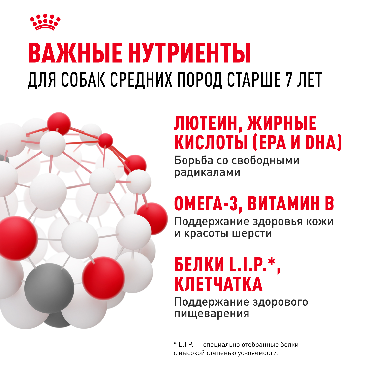 Корм для собак ROYAL CANIN Medium Adult 7+ для средних пород от 7 лет сух.