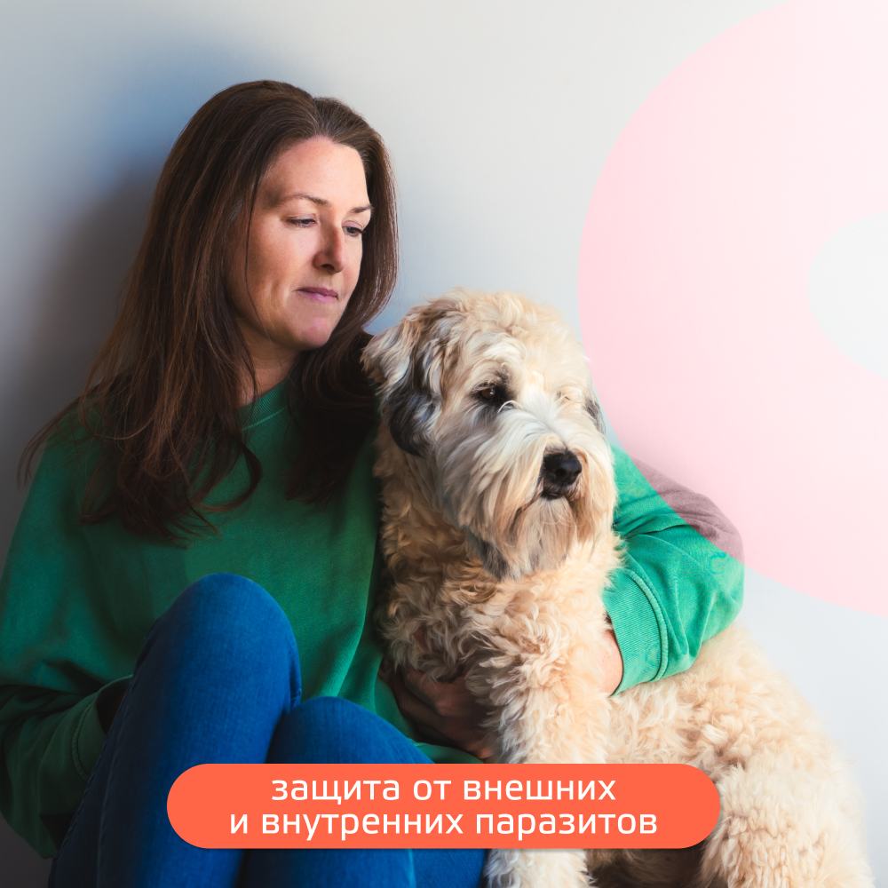 Капли для собак KRKA Селафорт от ушных и чесоточ.клещей, блох, гельминтов 10,1-20кг (120мг) 1 уп.