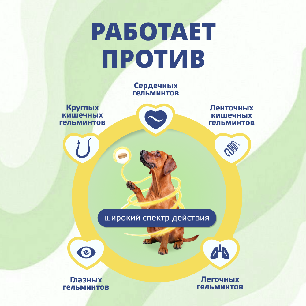 Антигельминтик для собак KRKA Милпразон, 2 таблетки