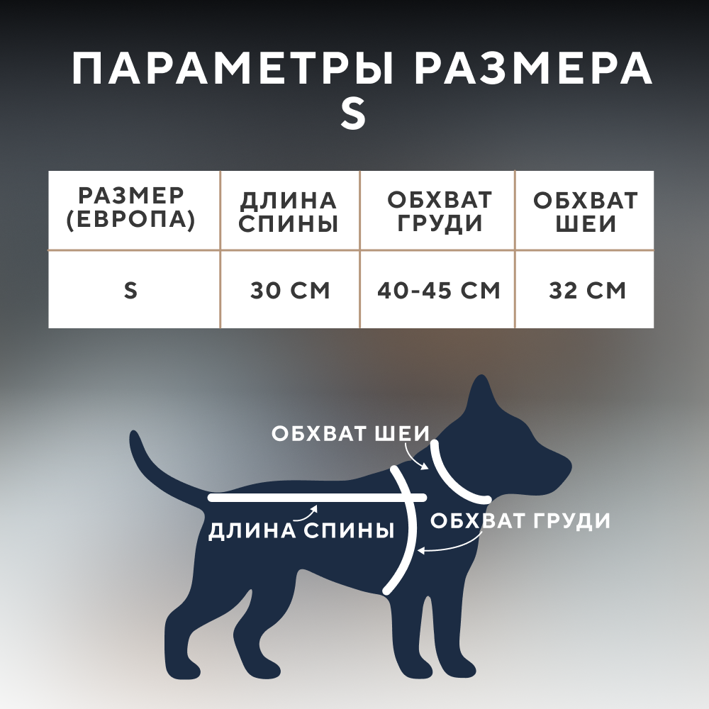 Жилет для собак FOXIE Bohemia синий