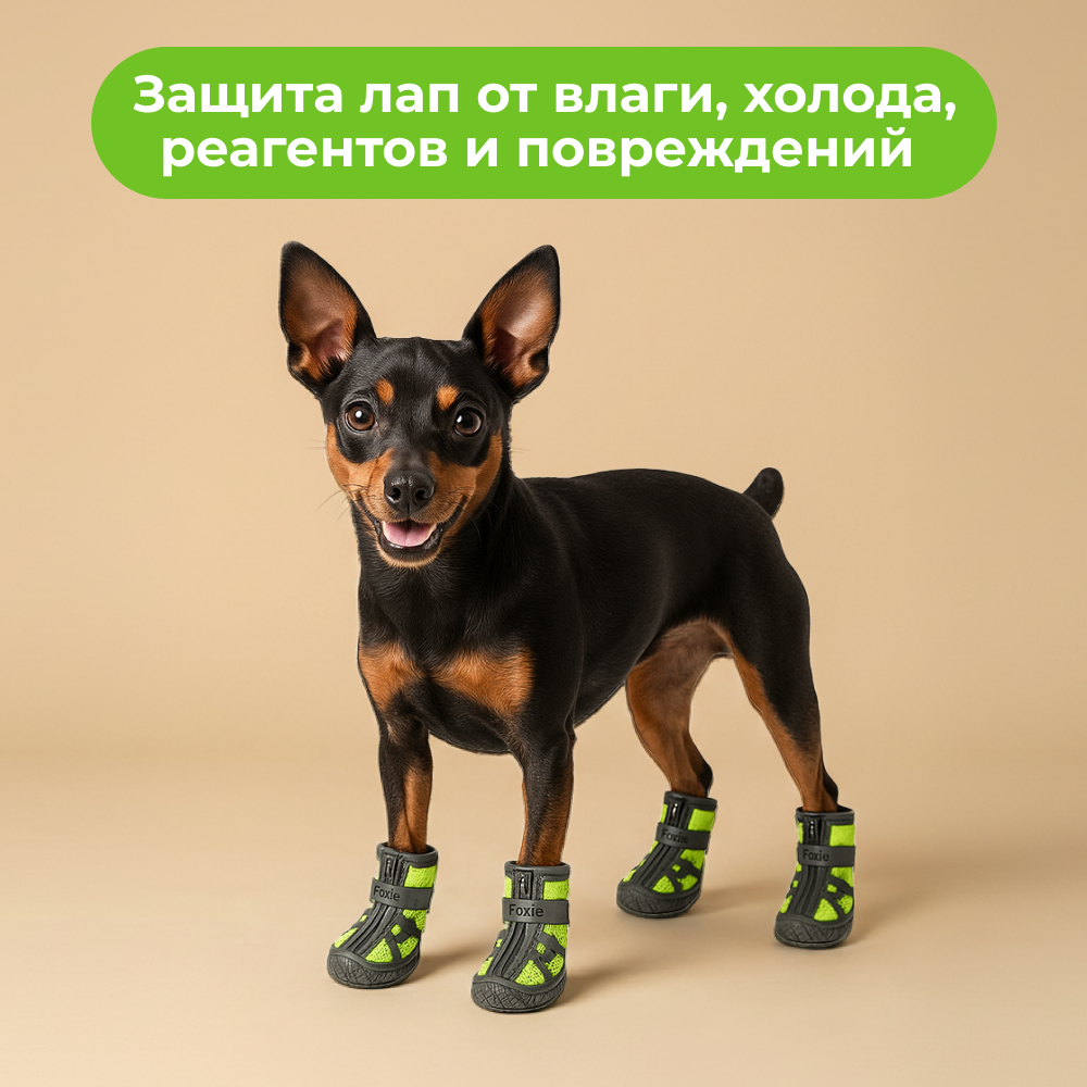 Ботинки для собак FOXIE Electro L 4,8х4,3см салатовые