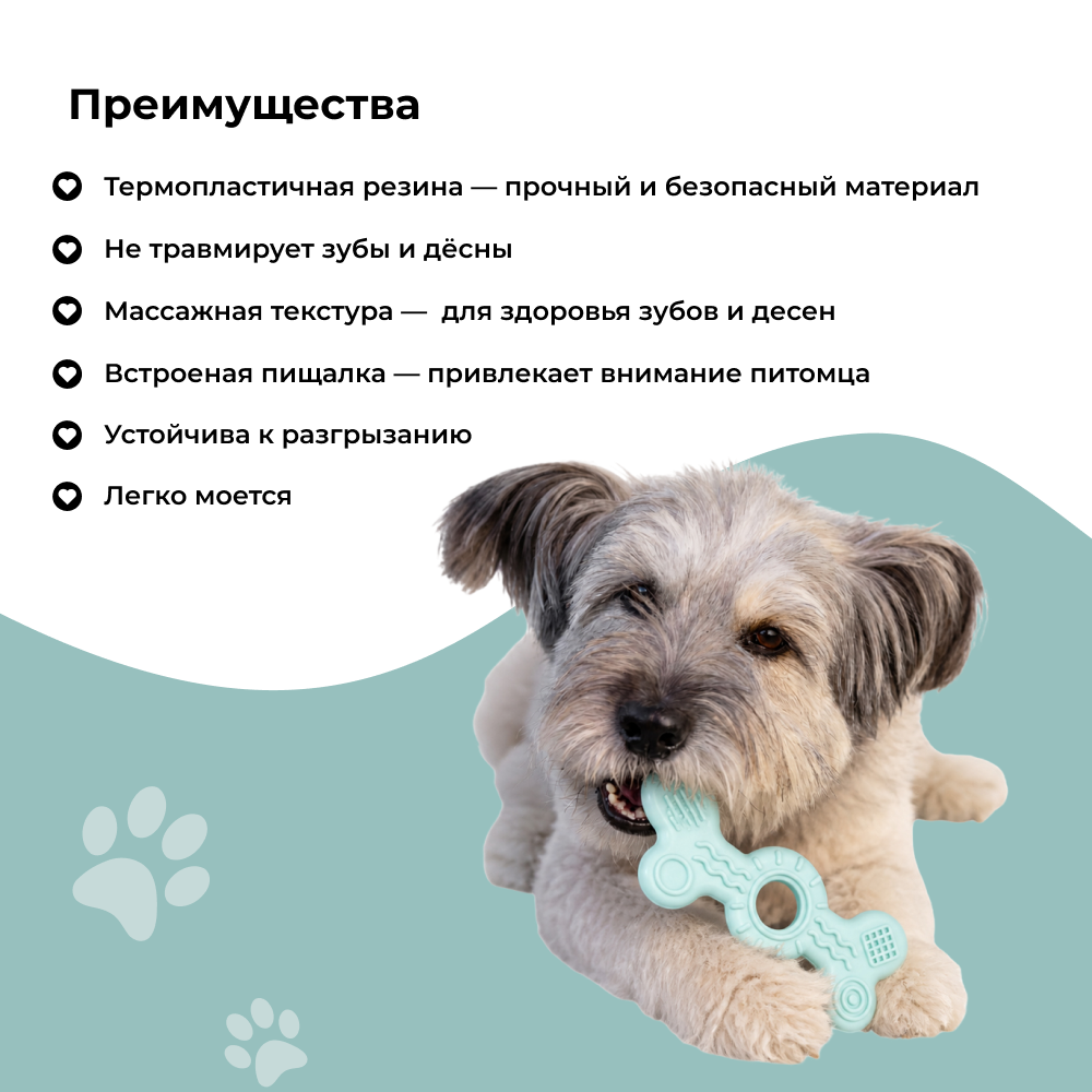 Игрушка для собак FOXIE Smart Кость массажная 5х14,5см голубая