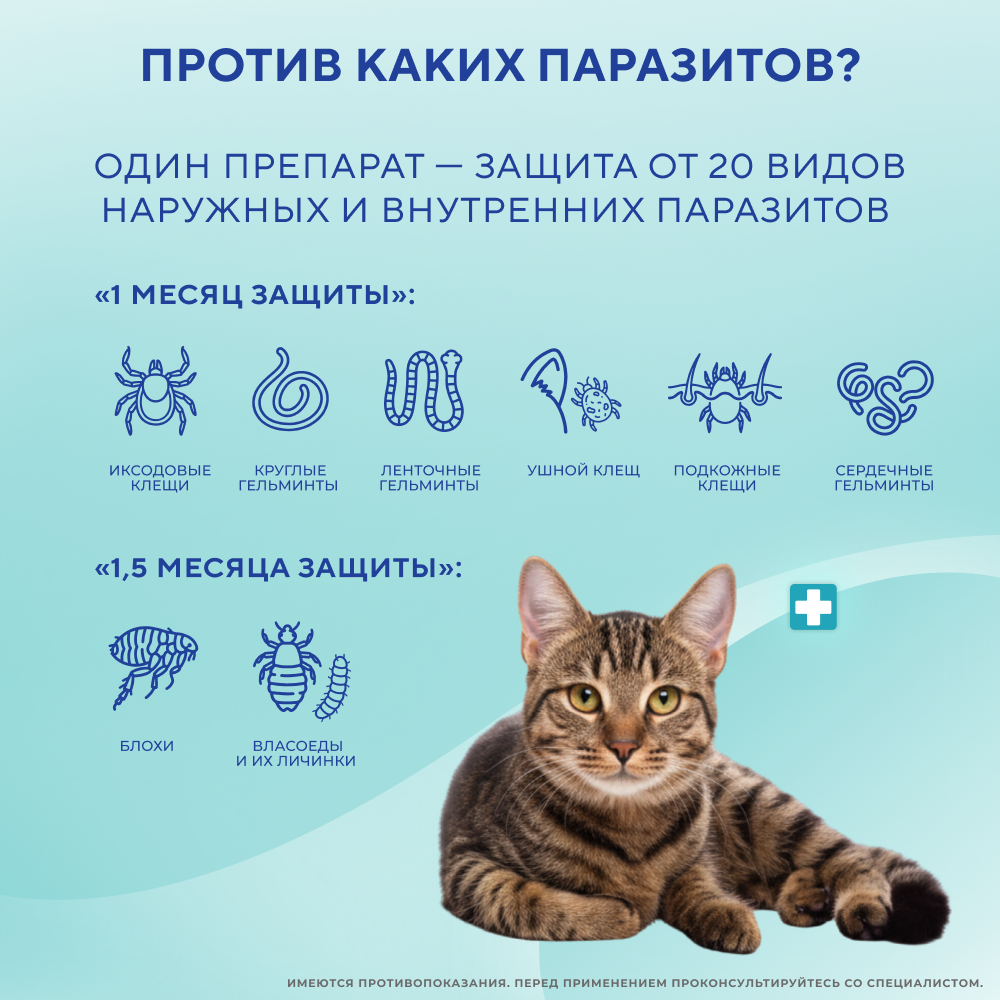 Капли на холку для кошек INSPECTOR Quadro от клещей, блох и глистов 1-4кг 3 пипетки