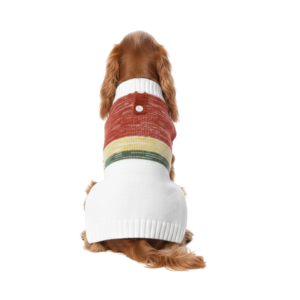 Свитер для собак FOXIE Warmth and comfort разноцветный