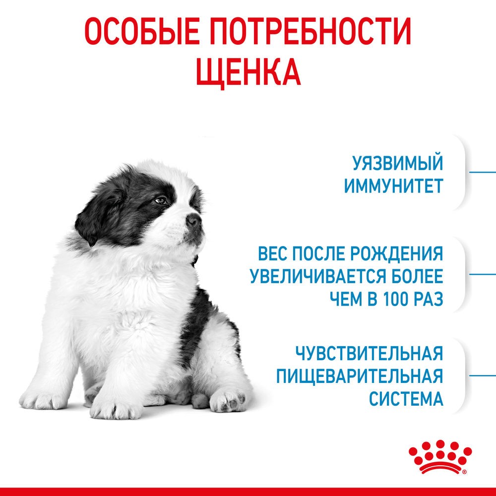 Корм для щенков ROYAL CANIN Giant Puppy для гигантских пород до 8 месяцев сух.