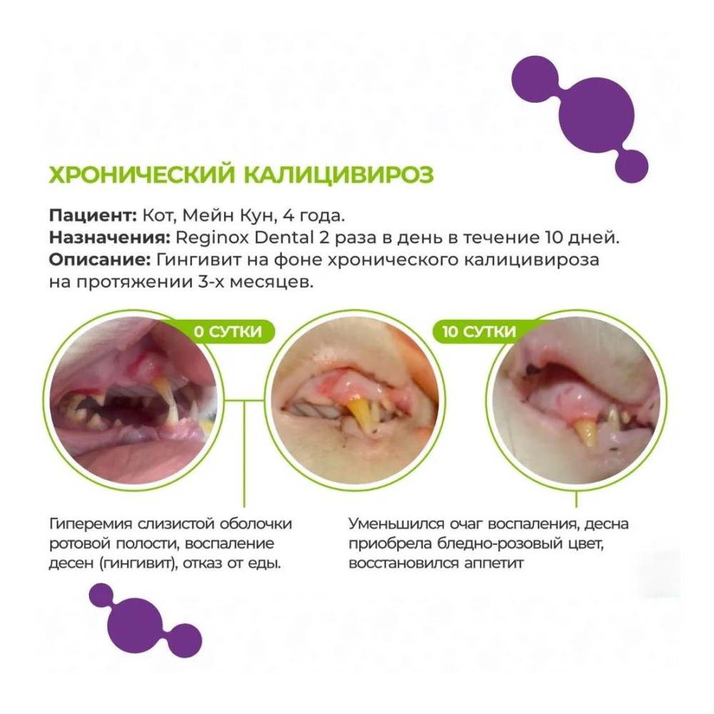 Гель стоматологический REGINOX, с хлоргексидином, 10г