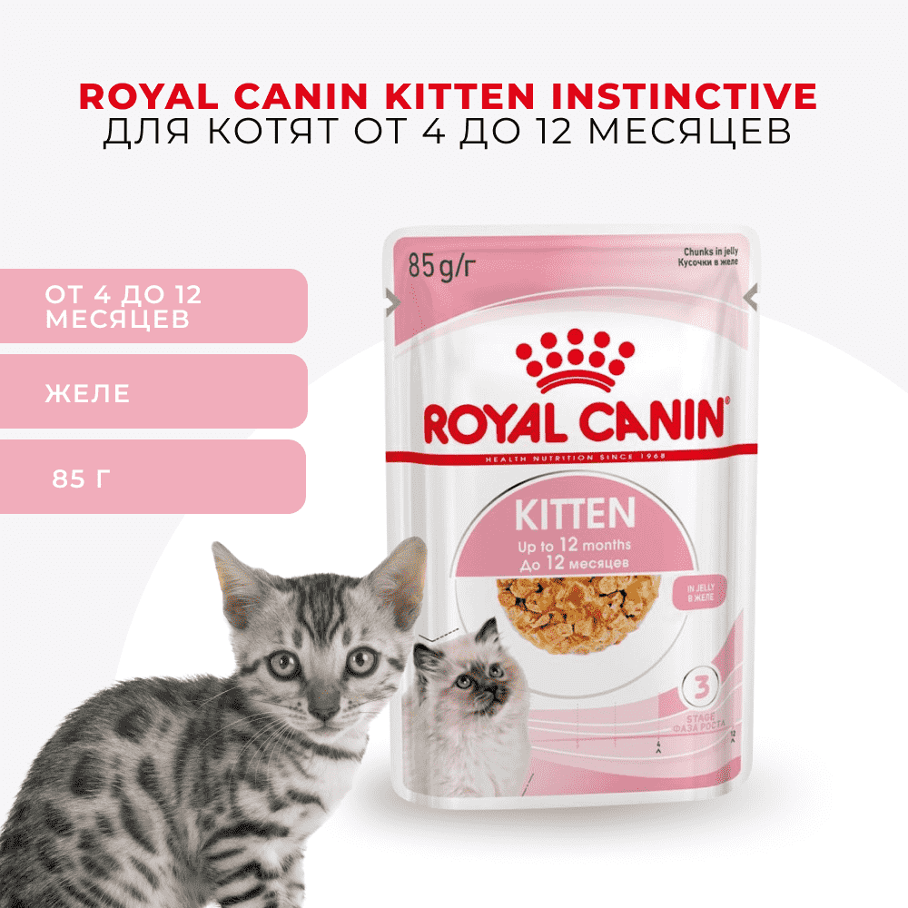 Корм для котят ROYAL CANIN в период третьей фазы роста, мясо в желе пауч