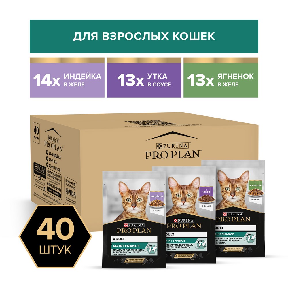 Корм для кошек PRO PLAN Maintenance индейка, утка, ягненок в желе 40x85г НАБОР