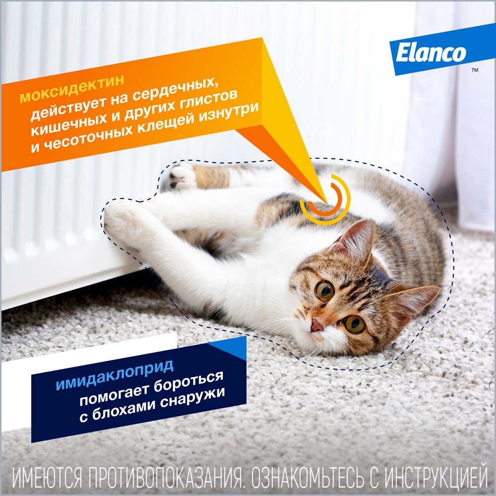 Капли для кошек ELANCO Адвокат от чесоточных клещей, блох и гельминтов (до 4кг веса) 0,4мл,1 пип.в уп