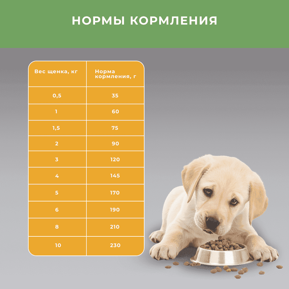 Корм для щенков ELATO Holistic для средних и крупных пород, курица, утка сух.