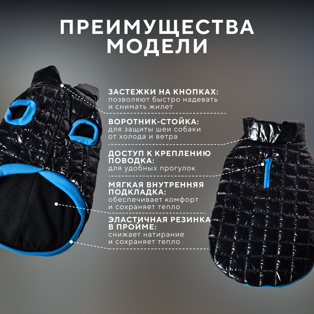 Жилет для собак FOXIE Gloss черный