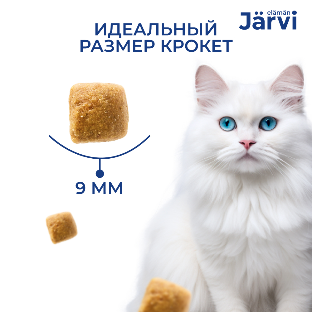 Корм для кошек JARVI Курица сух.