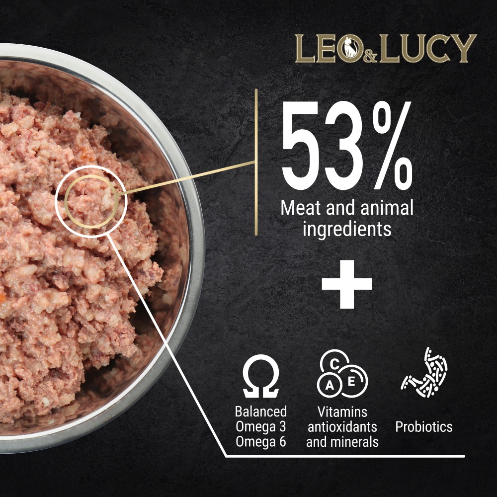Корм для собак LEO&LUCY паштет с индейкой, ягодами и биодобавками, подходит пожилым банка