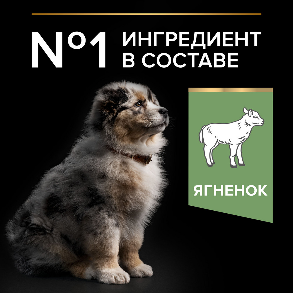 Корм для щенков PRO PLAN Sensitive Digestion для средних пород с чув. пищеварением, ягненок сух.