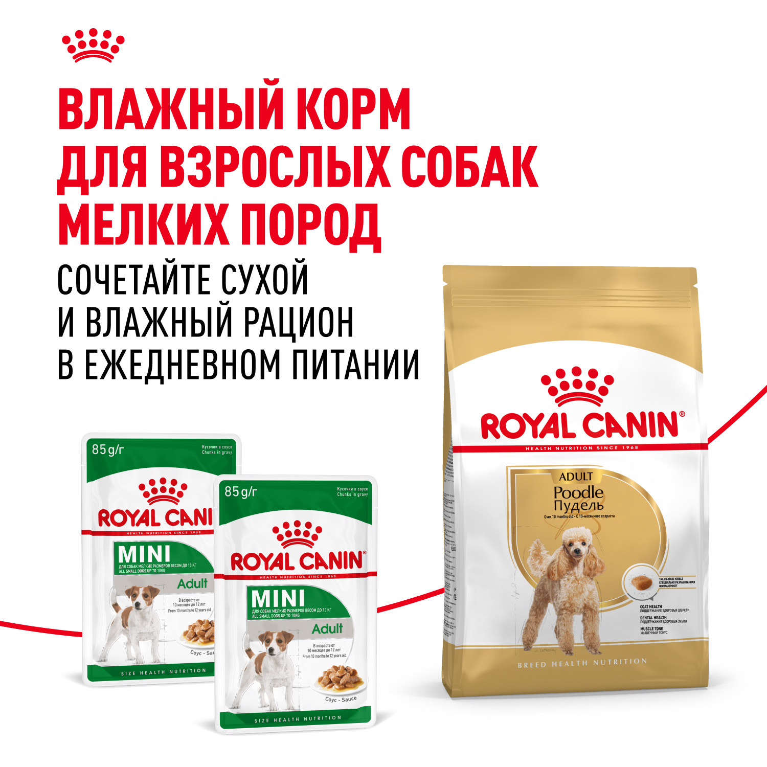 Корм для собак ROYAL CANIN Poodle для породы пудель от 10 месяцев сух.