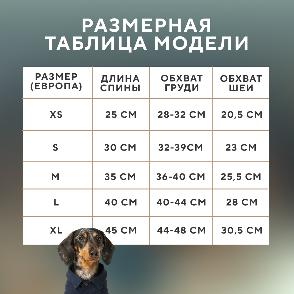Куртка для собак FOXIE Grace синяя
