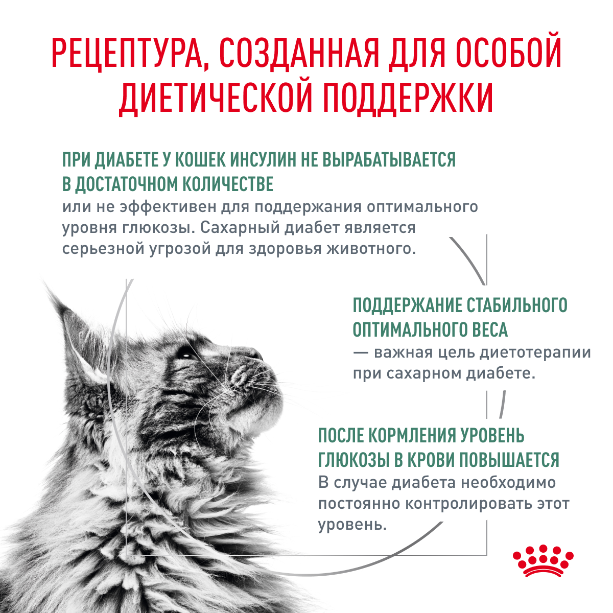 Корм для кошек ROYAL CANIN Diabetic при сахарном диабете сух.