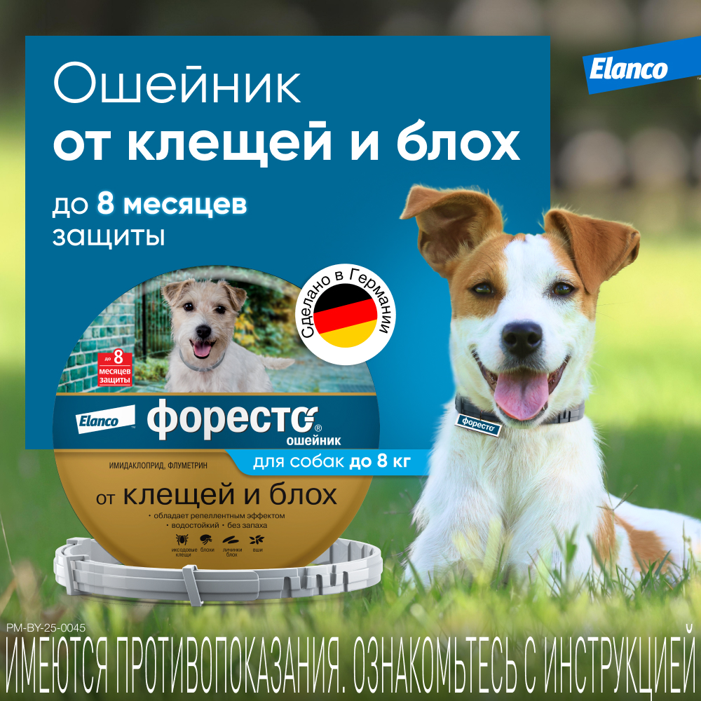 Ошейник для собак ELANCO Форесто до 8кг от клещей, блох и вшей, защита 8 месяцев 38см