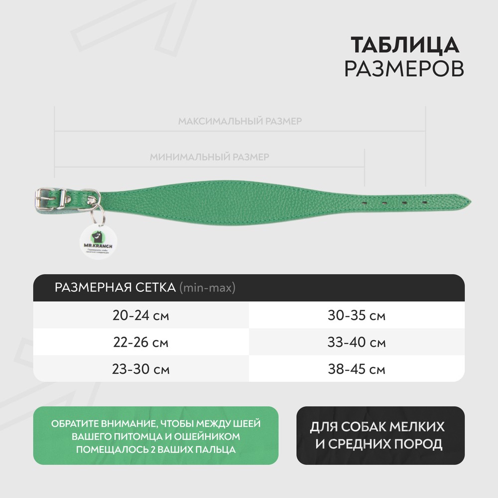 Ошейник-селедка для собак MR.KRANCH из натуральной кожи с QR-адресником, зеленый 21-25см