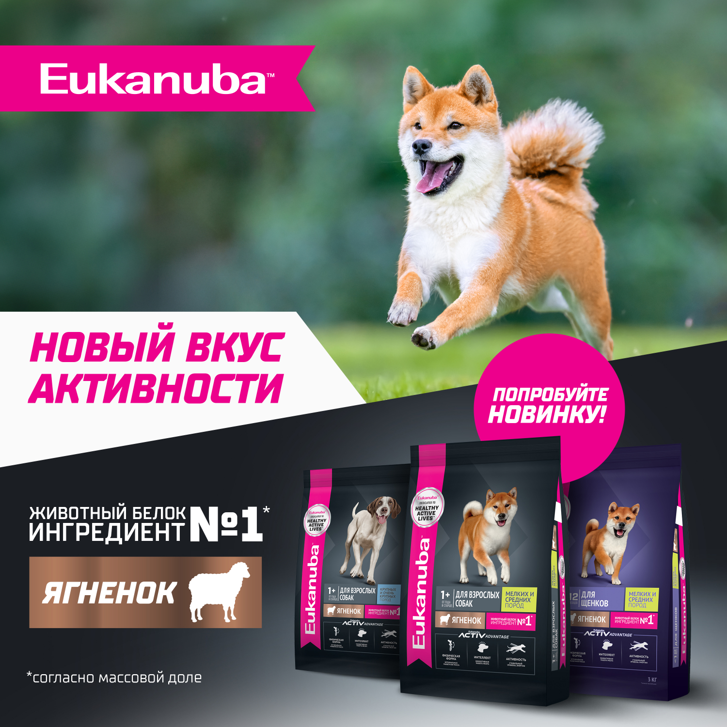 Корм для щенков EUKANUBA для мелких и средних пород до 12 мес., с ягненком сух.