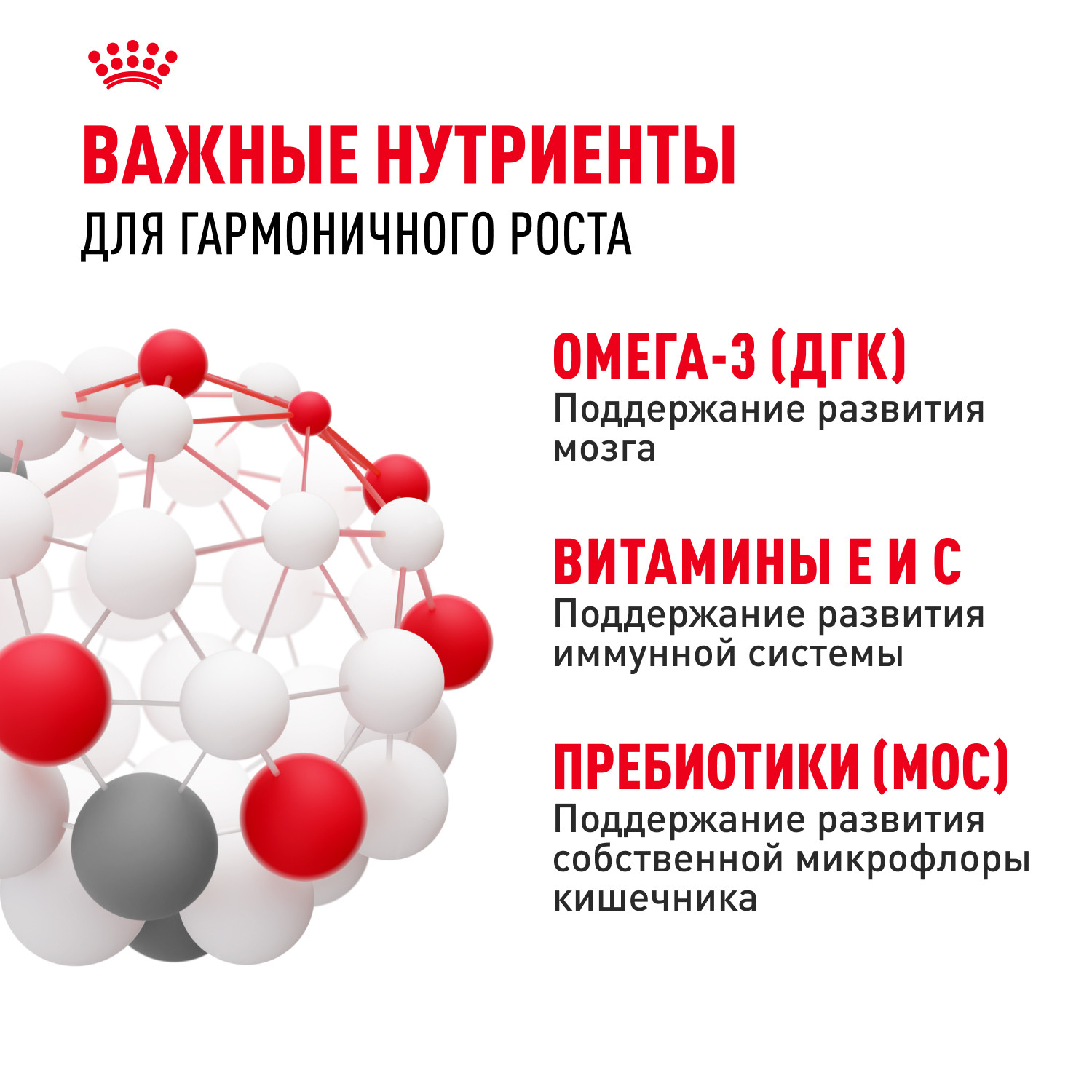 Корм для щенков ROYAL CANIN для средних пород до 12 месяцев пауч