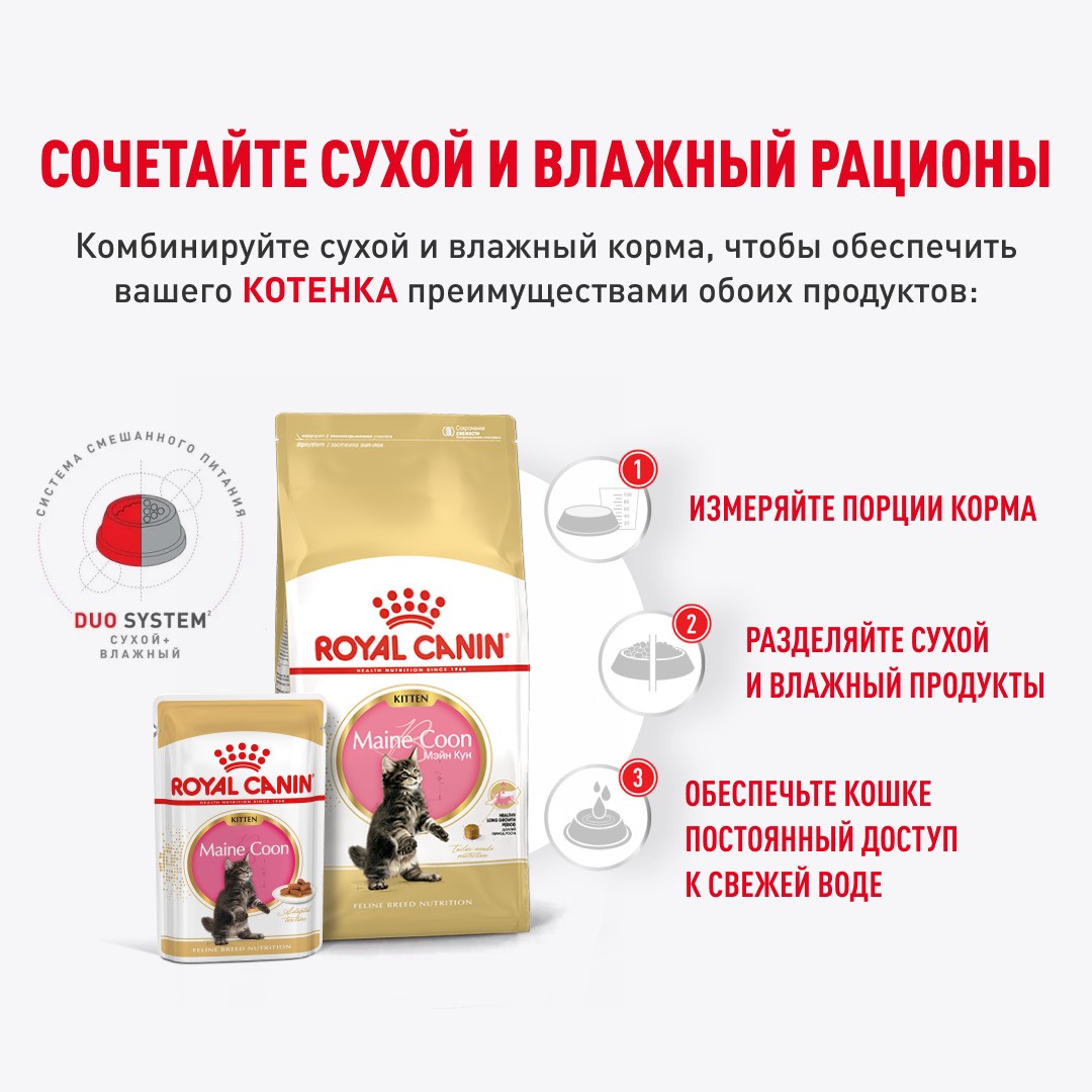 Корм для котят ROYAL CANIN Maine Coon для породы Мэйн Кун, кусочки в соусе пауч
