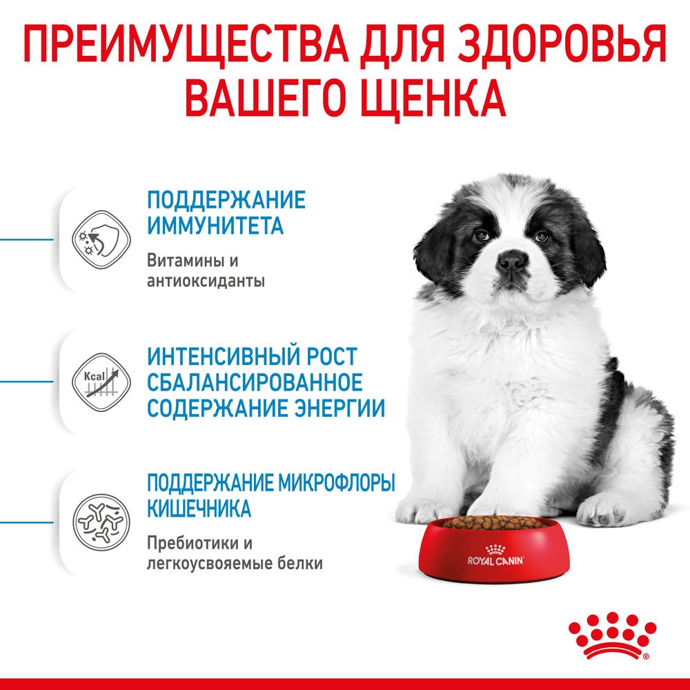 Корм для щенков ROYAL CANIN Giant Puppy для гигантских пород до 8 месяцев сух.