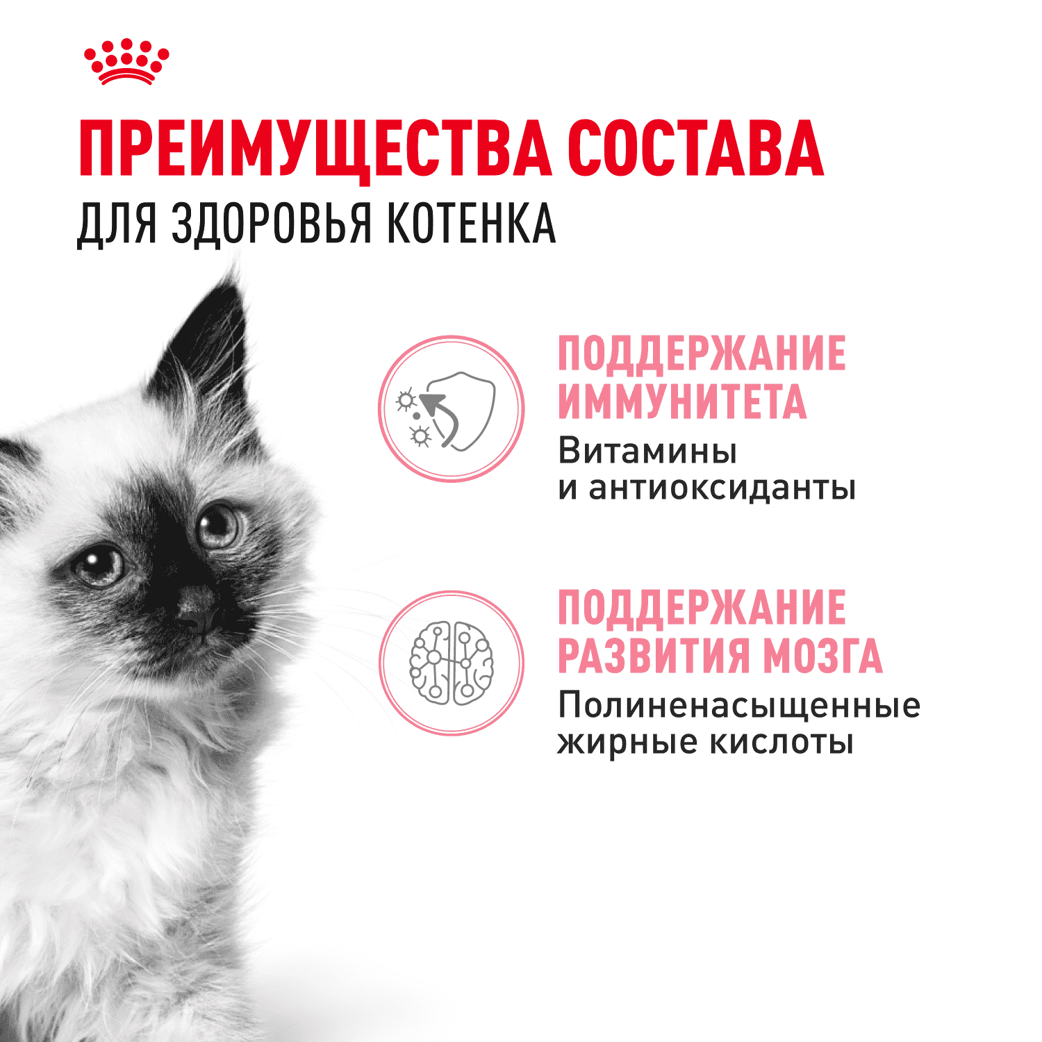 Корм для котят ROYAL CANIN в период третьей фазы роста до 12 месяцев, мясо в соусе пауч