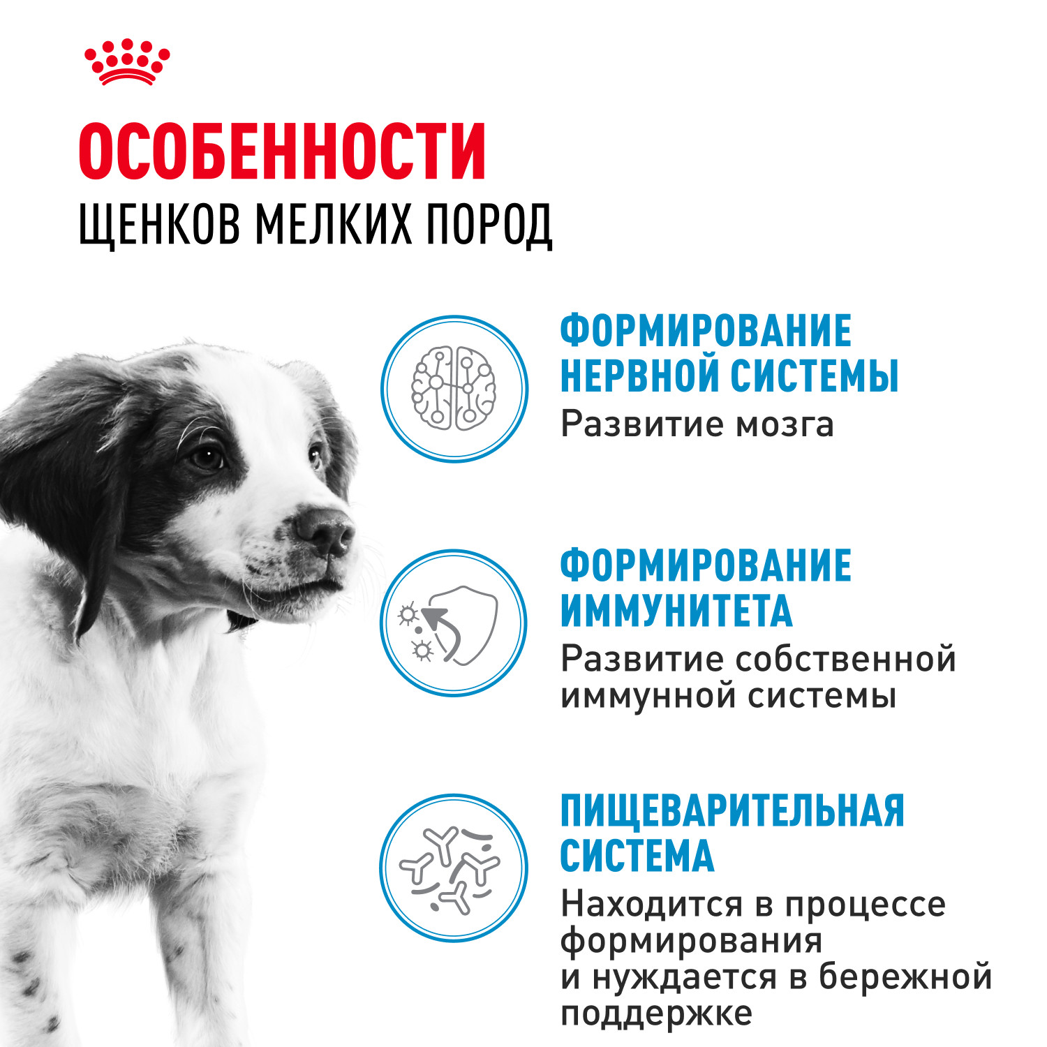 Корм для щенков ROYAL CANIN для средних пород до 12 месяцев пауч
