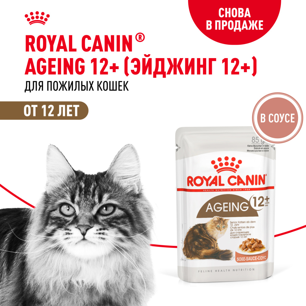 Корм для кошек ROYAL CANIN Ageing 12+ для стареющих от 12 лет, мясо в соусе пауч