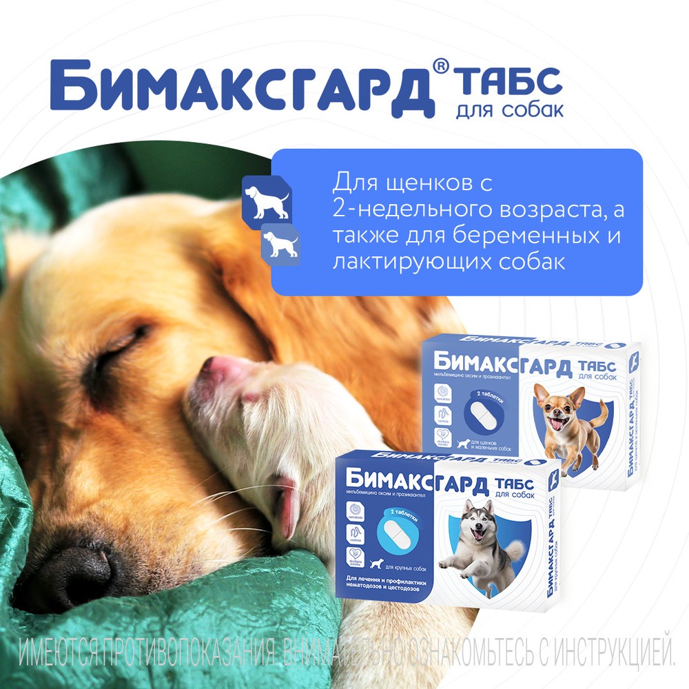 Антигельминтик для щенков и маленьких собак NEOTERICA Бимаксгард ТАБС, 2 таб.(0,5-5кг)
